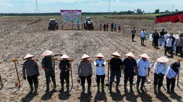 Kapolres Simalungun Pimpin Penanaman Jagung 52 Hektar, Dukung Program Swasembada Pangan Nasional